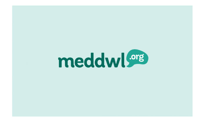 Logo meddwl.org