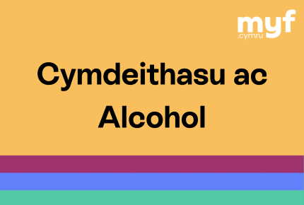 Cymdeithasu ac Alcohol