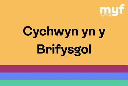 Cychwyn yn y Brifysgol