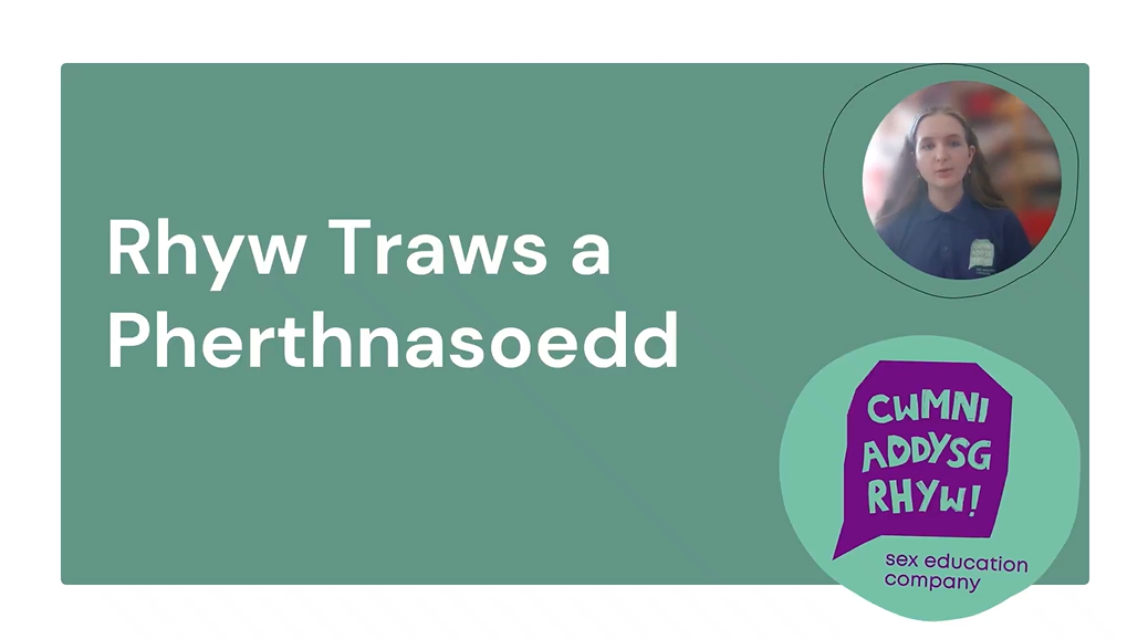  Rhyw Traws a Pherthnasoedd