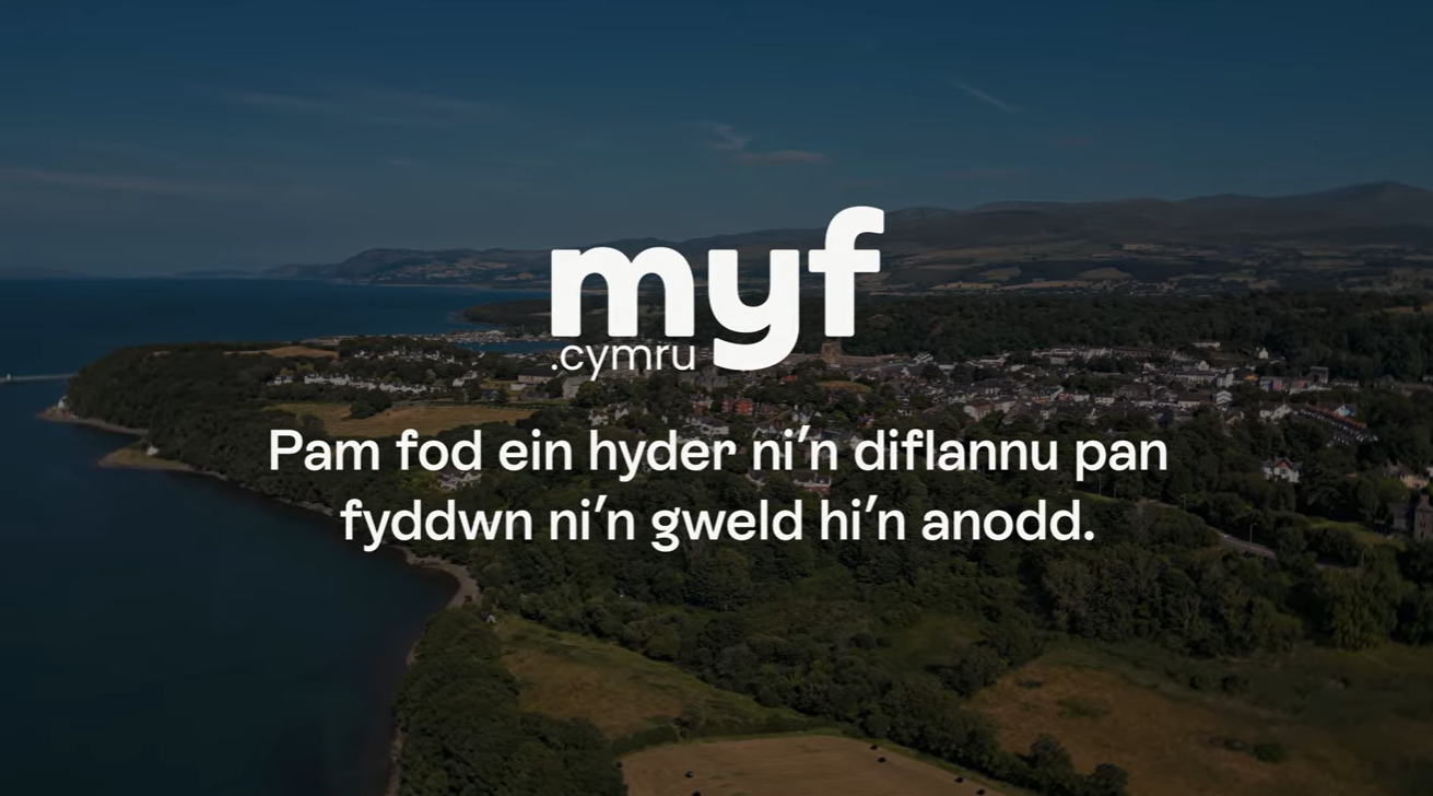 Pam fod ein hyder ni’n diflannu pan fyddwn ni’n gweld hi’n anodd