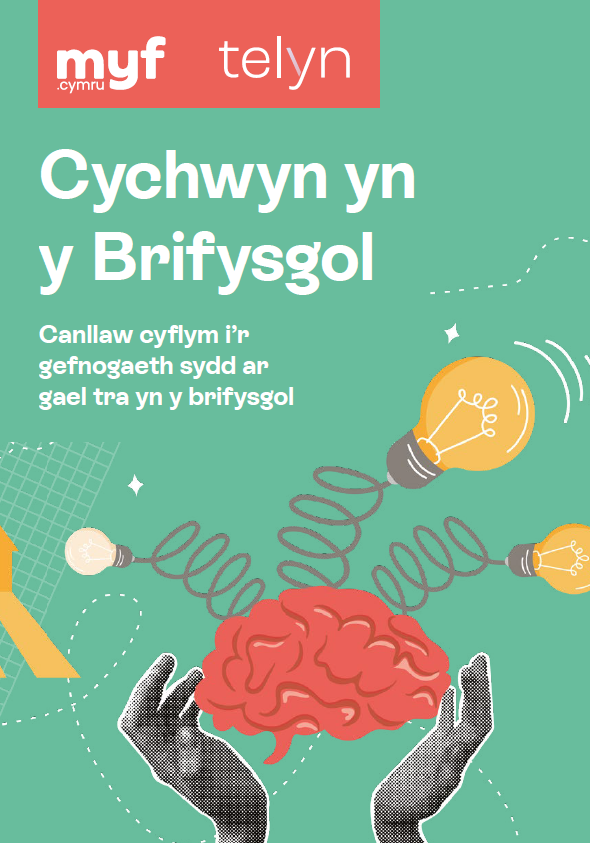 Toolkit front cover: Hands holding a brain with light bulbs coming off it